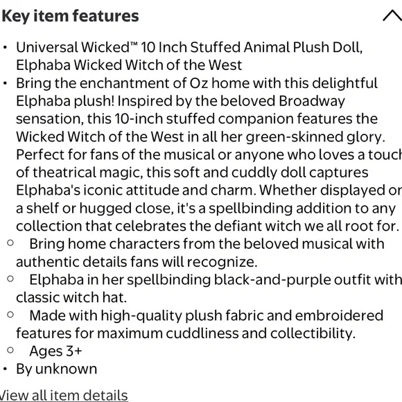 Green Elphaba Witch Plush Doll with Black Hat and Purple Dress - Picture 4 of 10